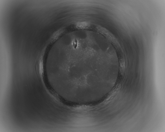X0000102530734200808151555