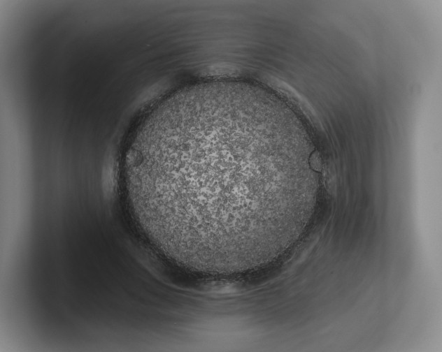X0000102530735200808151555