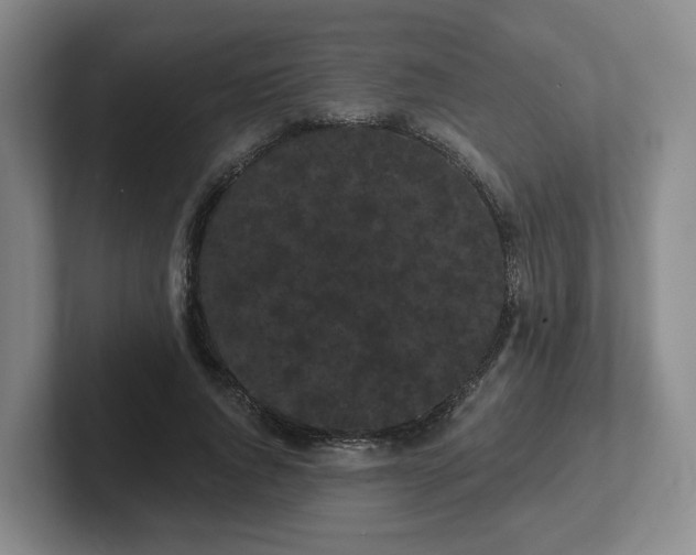 X0000102530736200808151555