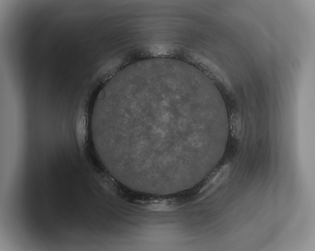 X0000102530740200808151555