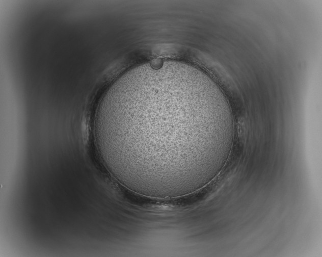 X0000102530741200808151555