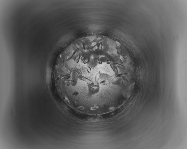 X0000102530742200808151555