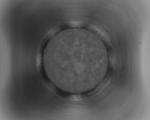 X0000102530744200808151555