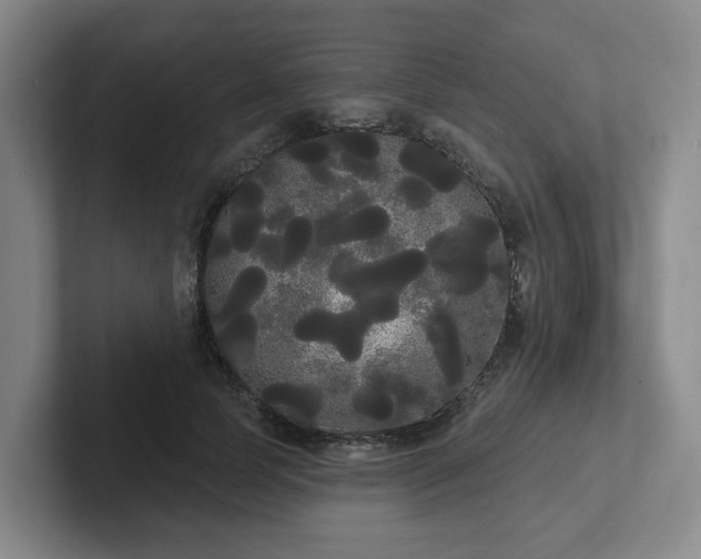 X0000102530745200808151555