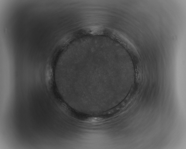 X0000102530748200808151555