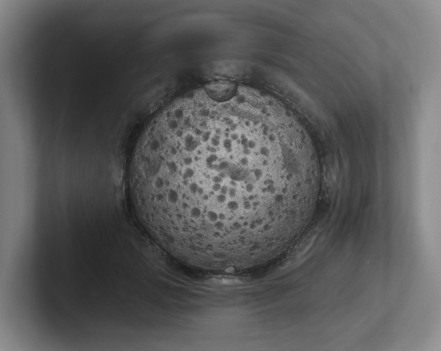 X0000102530749200808151555