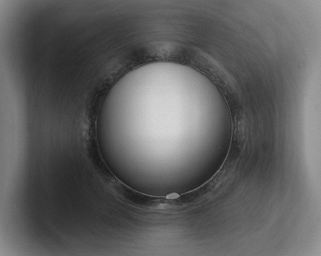 X0000102530750200808151555