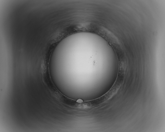 X0000102530751200808151555