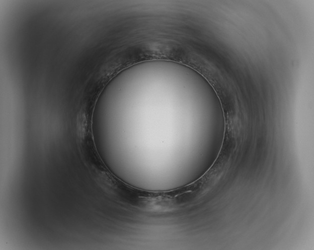 X0000102530752200808151555