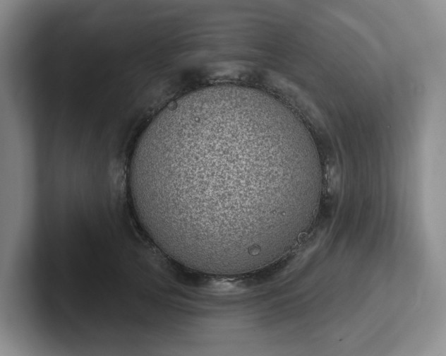 X0000102530753200808151555