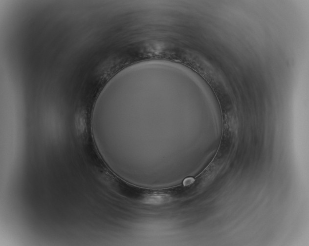 X0000102530754200808151555