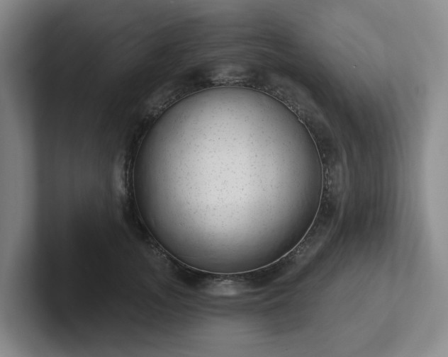 X0000102530755200808151555