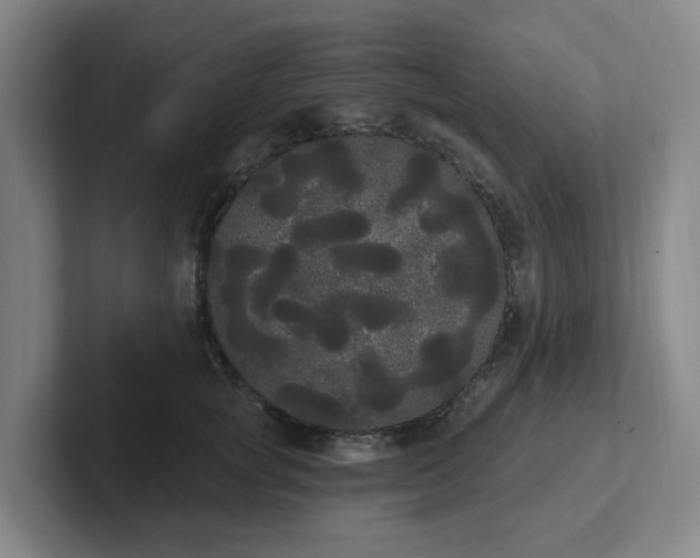 X0000102530757200808151555