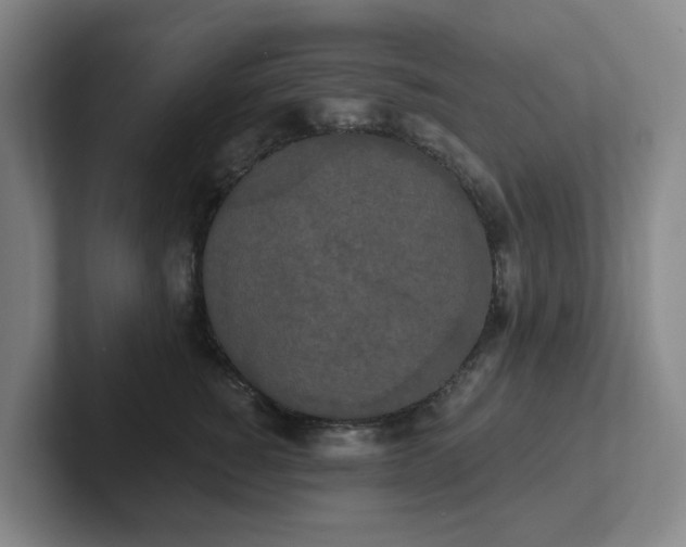 X0000102530760200808151555