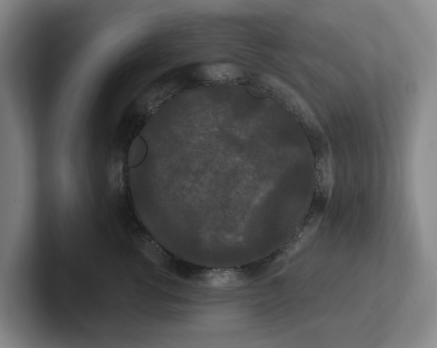 X0000102530762200808151555