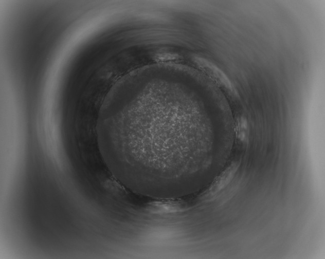 X0000102530763200808151555