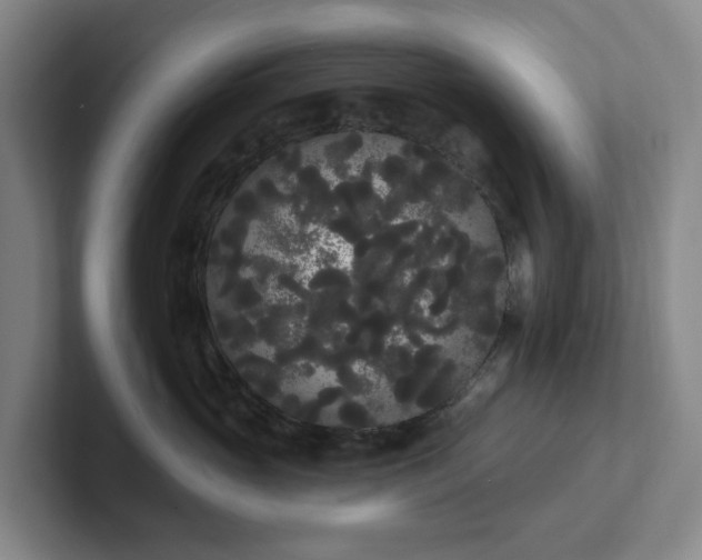 X0000102530765200808151555