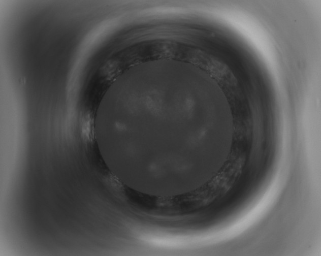 X0000102530766200808151555