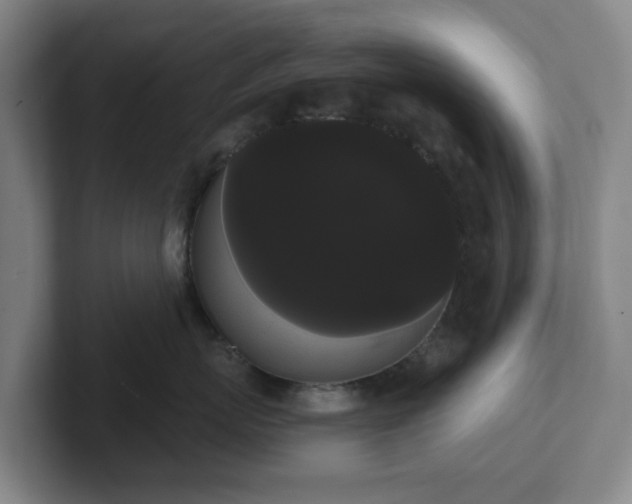 X0000102530767200808151555