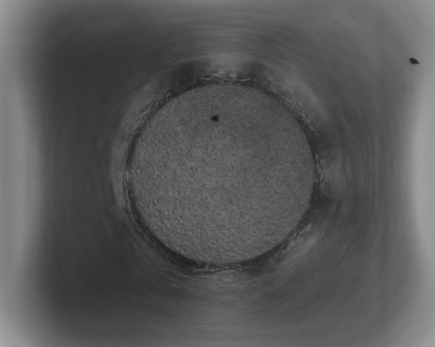 X0000102530769200808151554