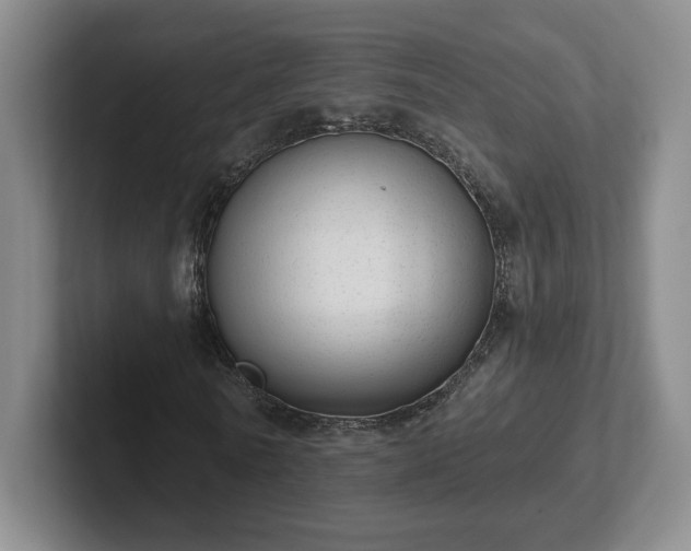 X0000102530770200808151554