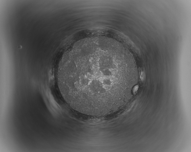 X0000102530771200808151554