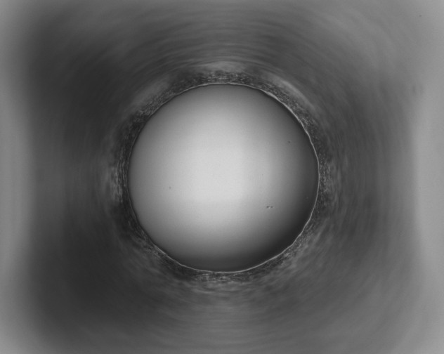 X0000102530774200808151554