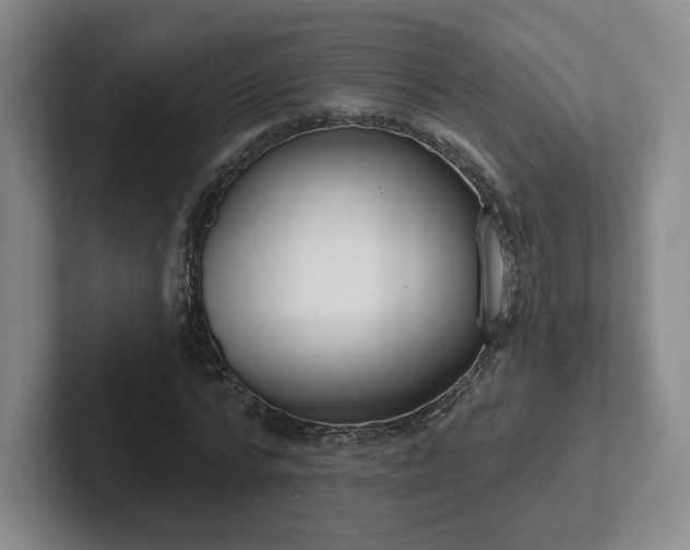 X0000102530776200808151554