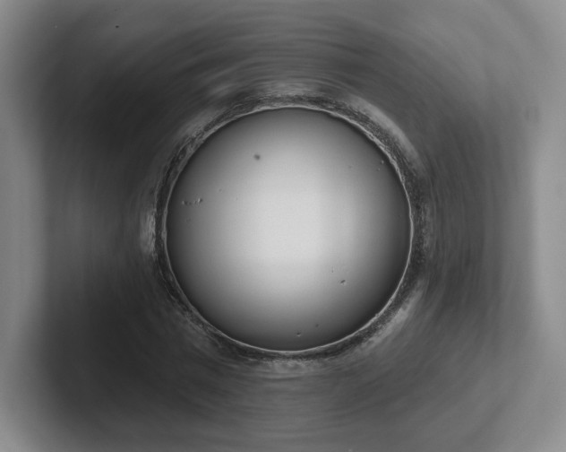 X0000102530777200808151554