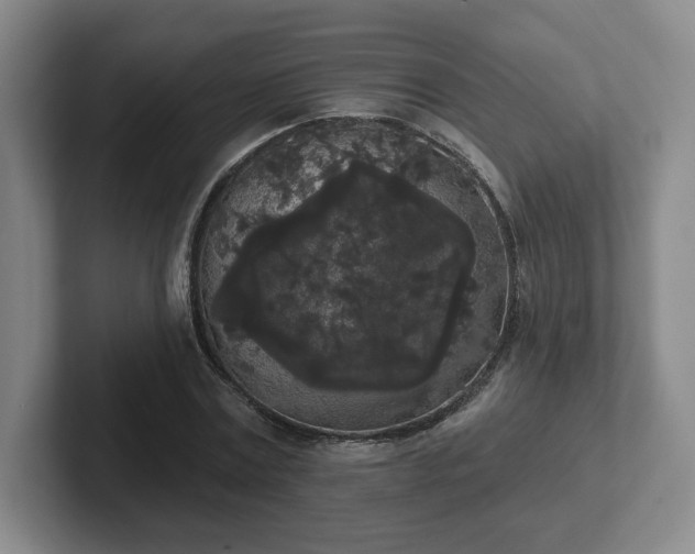 X0000102530779200808151554