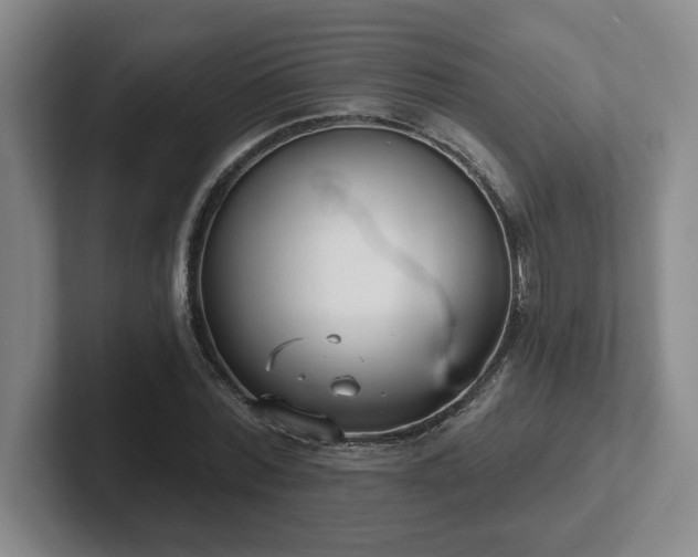 X0000102530780200808151554