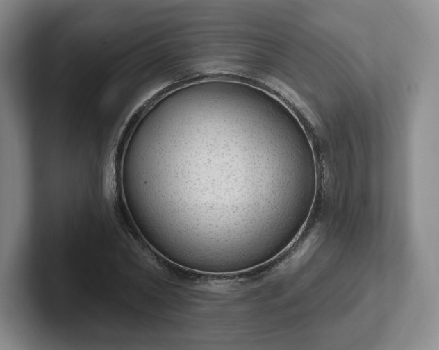 X0000102530782200808151554