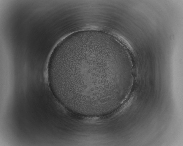 X0000102530784200808151554