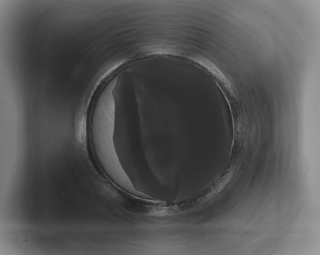 X0000102530790200808151554