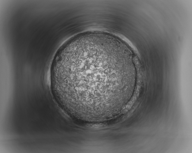 X0000102530791200808151554
