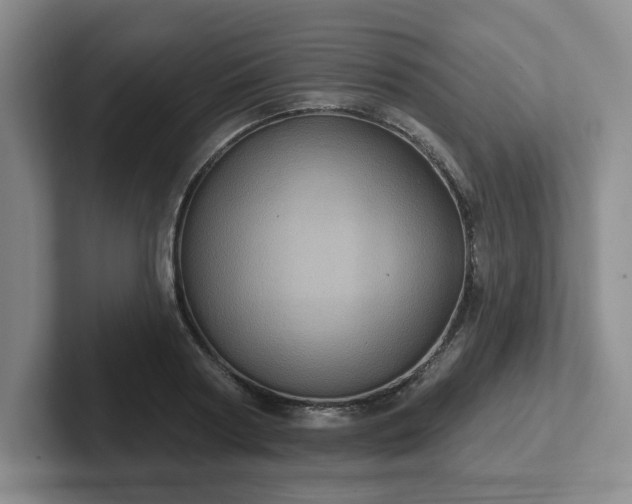 X0000102530794200808151554