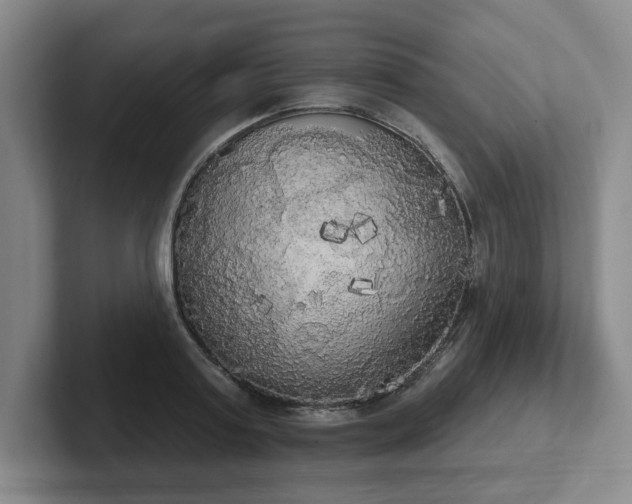 X0000102530795200808151554