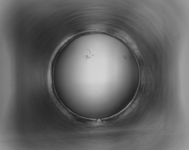 X0000102530796200808151554