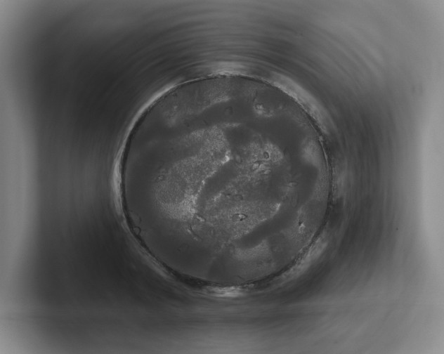 X0000102530798200808151554