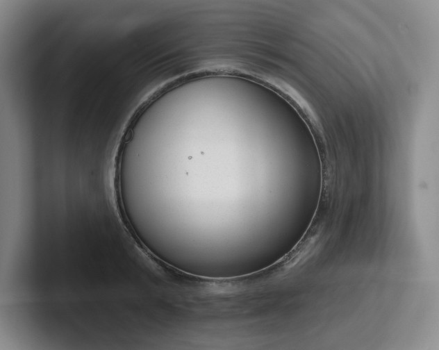 X0000102530799200808151554