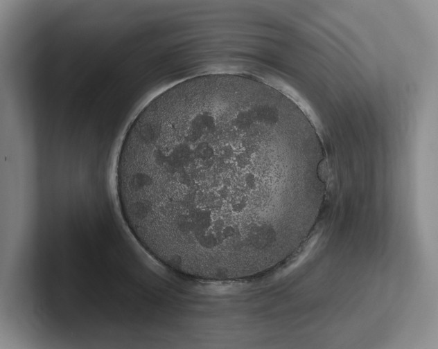 X0000102530803200808151554