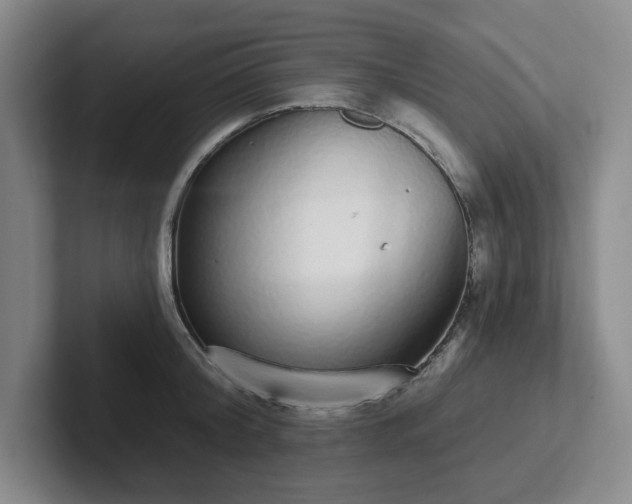 X0000102530804200808151554