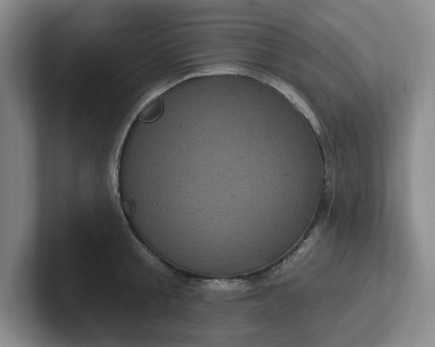 X0000102530805200808151554