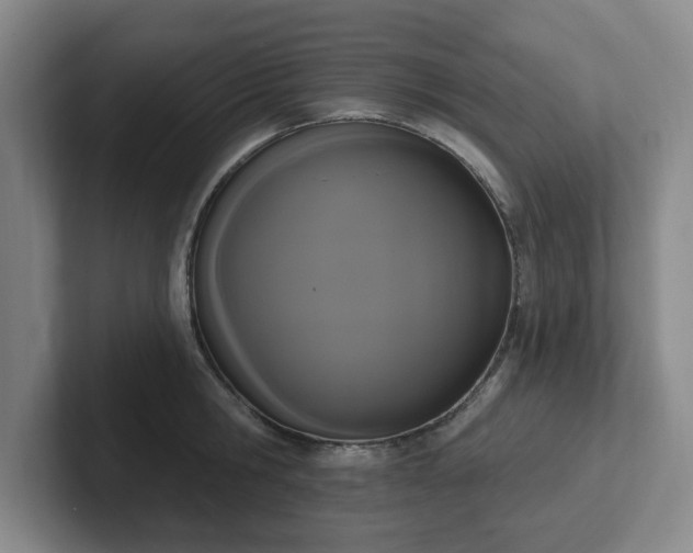 X0000102530806200808151554