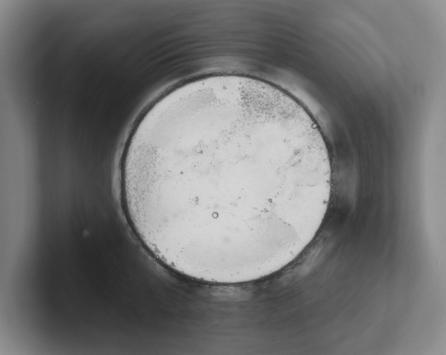 X0000102530807200808151554