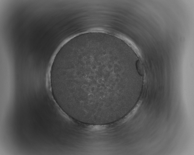 X0000102530808200808151554