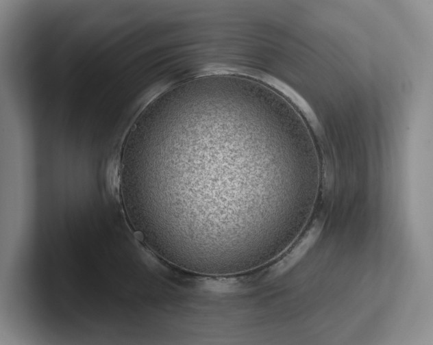 X0000102530809200808151554