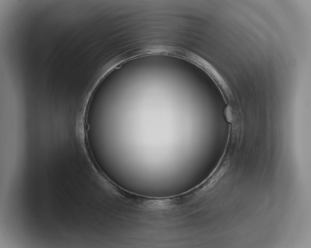 X0000102530810200808151554