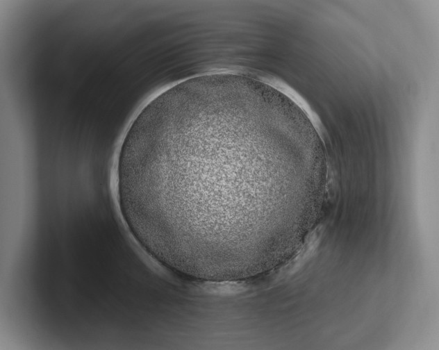 X0000102530811200808151554