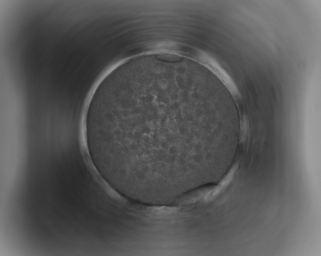 X0000102530812200808151554